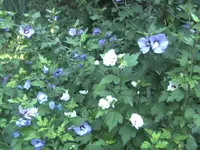 BILD0278.webp