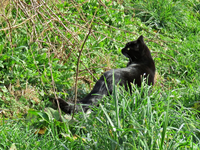 IMG_9187 - Copy.JPG