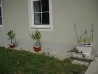 DSCN7959.webp