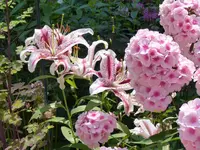 D13CA5E6-EF66-4828-8B4B-9E49D72FD942.webp