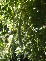 BILD0323.webp