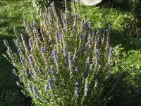 BILD0317.webp