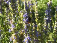 BILD0320.webp