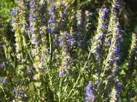 BILD0322.webp