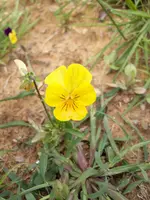 100_0404.webp 100_0404.webp