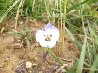 100_0409.webp 100_0409.webp