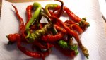 IMG-20180722-WA0000.jpg