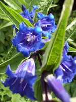 100_0433.webp