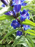 100_0434.webp