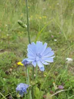 100_0442.webp