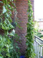 P1100553Susanne.webp
