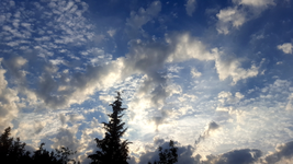 2018-07-19_20-23-59-1.webp