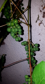 2018-07-19_21-59-38-1.webp