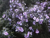 BILD0345.webp