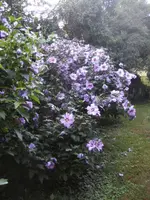 BILD0343.webp