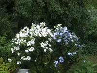 BILD0352.webp