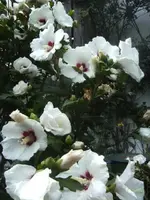 BILD0350.webp