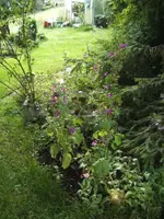 BILD0335.webp