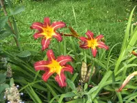 BILD0330.webp