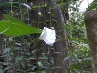 BILD0336.webp