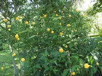 BILD0306.webp