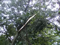 BILD0331.webp