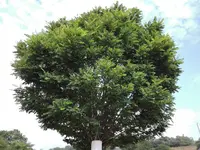 IMG_20180723_100229.webp