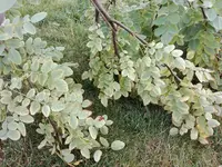 IMG_20180723_100024.webp