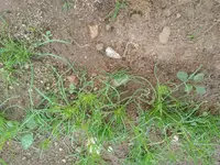 IMG_20180723_1213222.webp