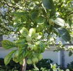 IMG_20180716_163545.jpg