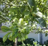 IMG_20180716_163545.webp