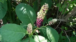 20180723_135444.jpg