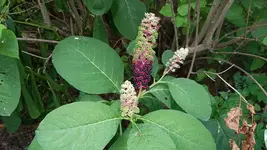 20180723_150310.webp