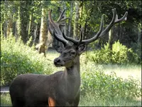 c004.webp