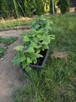 2018_0720Anbau20180328.webp
