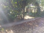 20180723_184434.jpg