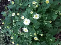 20180723_204503.webp