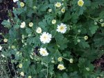 20180723_204503.jpg