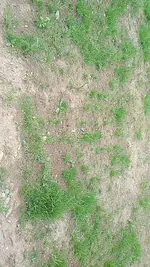 FB_IMG_1532372856945.webp