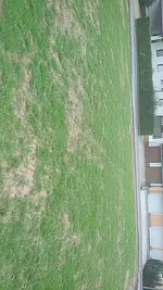 FB_IMG_1532372865096.webp