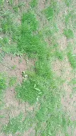 FB_IMG_1532372871121.webp