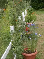 P7220670.webp