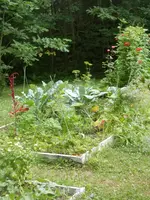 P7220675.webp