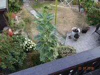 3.10 1.webp