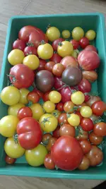 IMG_20180723_155708.webp
