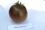 Black Yum Yum IMG_5219.jpg