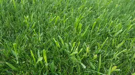 20180724_192847.webp