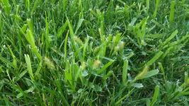 20180724_193604.webp