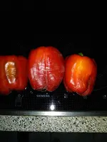 IMG_20180724_211416.webp