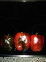 IMG_20180724_211443.webp